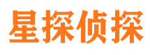 延津市侦探公司